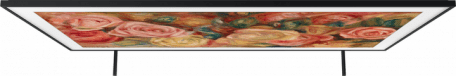 Телевизор Samsung QE43LS03D  Фото №13