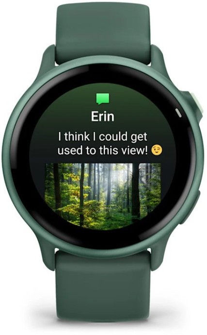 Смарт-часы Garmin Vivoactive 6 Metallic Jasper Green with Jasper Green Band (010-02985-02)  Фото №1