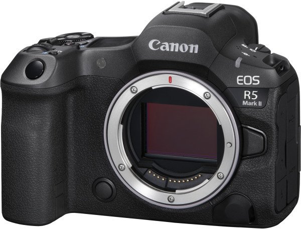 Беззеркальный фотоаппарат Canon EOS R5 kit (24-105mm) L IS (4147C013)  Фото №12