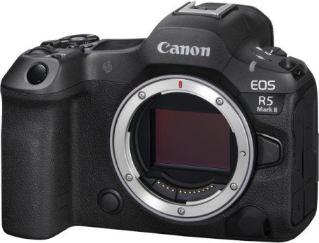 Беззеркальный фотоаппарат Canon EOS R5 kit (24-105mm) L IS (4147C013)  Фото №12