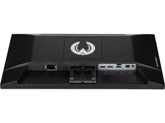 Монитор iiyama G-Master G2245HSU-B1  Фото №4