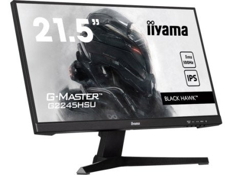 Монитор iiyama G-Master G2245HSU-B1  Фото №1