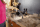 Пароочисник Karcher SC 4 Deluxe 1.513-460.0  Фото №5