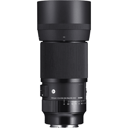 Стандартный объектив Sigma AF 28-105mm f/2,8 DG DN Art (Sony-E)  Фото №3