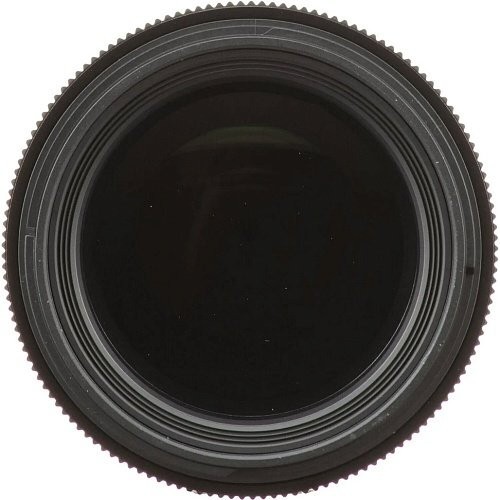 Стандартный объектив Sigma AF 28-105mm f/2,8 DG DN Art (Sony-E)  Фото №4
