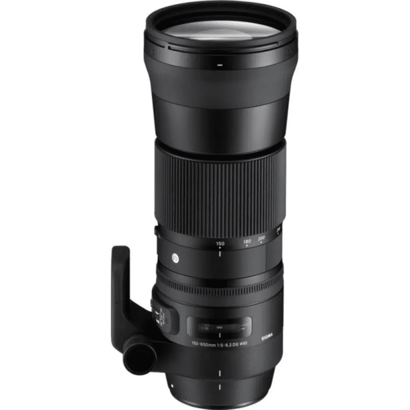 Довгофокусний об&#039;єктив Sigma AF 150-600mm f/5-6,3 DG OS HSM C (745) DG OS HSM (Canon)  + Sigma TC-1401  Фото №0