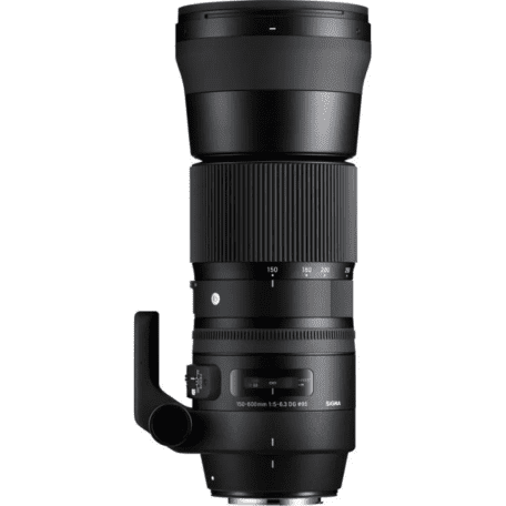 Довгофокусний об&#039;єктив Sigma AF 150-600mm f/5-6,3 DG OS HSM C (745) DG OS HSM (Canon)  + Sigma TC-1401  Фото №6