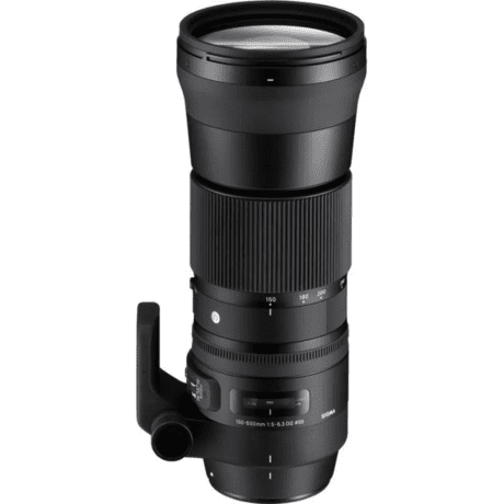 Длиннофокусный объектив Sigma AF 150-600mm f/5-6,3 DG OS HSM C (745) DG OS HSM (Canon) + Sigma TC-1401  Фото №0