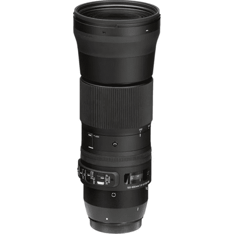 Длиннофокусный объектив Sigma AF 150-600mm f/5-6,3 DG OS HSM C (745) DG OS HSM (Canon) + Sigma TC-1401  Фото №2