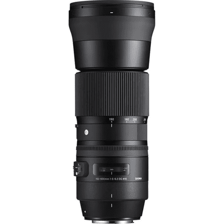 Длиннофокусный объектив Sigma AF 150-600mm f/5-6,3 DG OS HSM C (745) DG OS HSM (Canon) + Sigma TC-1401  Фото №3