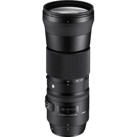 Длиннофокусный объектив Sigma AF 150-600mm f/5-6,3 DG OS HSM C (745) DG OS HSM (Canon) + Sigma TC-1401  Фото №5