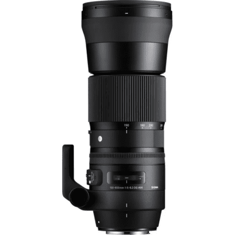 Длиннофокусный объектив Sigma AF 150-600mm f/5-6,3 DG OS HSM C (745) DG OS HSM (Canon) + Sigma TC-1401  Фото №6