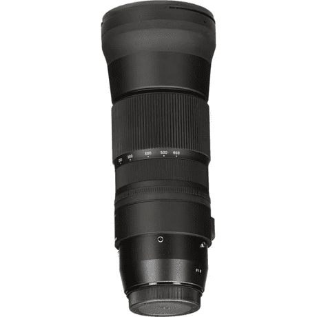 Длиннофокусный объектив Sigma AF 150-600mm f/5-6,3 DG OS HSM C (745) DG OS HSM (Canon) + Sigma TC-1401  Фото №9