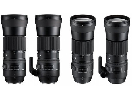 Длиннофокусный объектив Sigma AF 150-600mm f/5-6,3 DG OS HSM C (745) DG OS HSM (Canon) + Sigma TC-1401  Фото №10