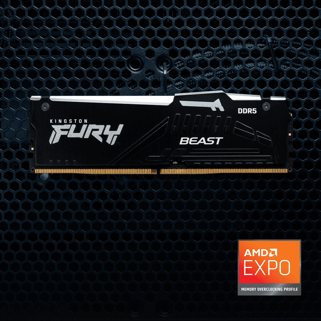 Пам&#039;ять для настільних комп&#039;ютерів Kingston FURY 64 GB (2x32GB) DDR5 6000 MHz Beast RGB EXPO (KF560C36BBEAK2-64)  Фото №6