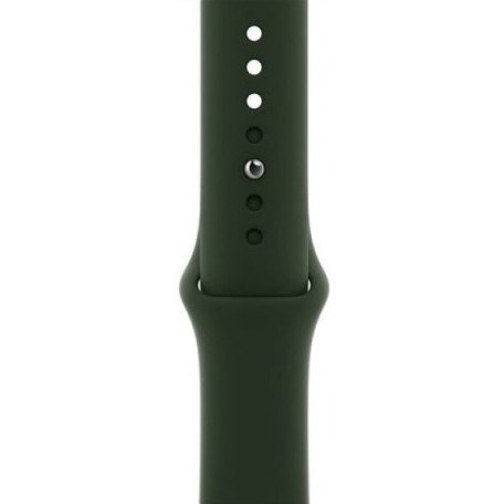 Смарт-годинник Apple Watch Series 6 GPS + Cellular 40mm Gold Stainless Steel Case w. Cyprus Green Sport B. (M02W3) (USA)  Фото №1