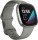 Смарт-часы Fitbit Sense Silver Sage Grey (FB512SRSG)  Фото №0