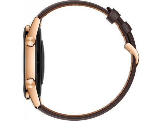 Смарт-часы Honor Watch GS 3 46mm Classic Gold  Фото №1