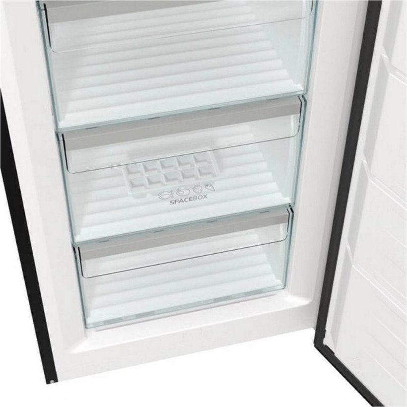 Морозильна камера Gorenje FN619EABK6  Фото №1