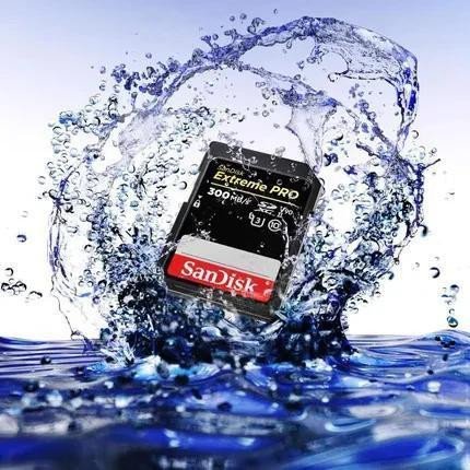 Карта памяти SanDisk 512 GB SDXC Extreme Pro UHS-II U3 V60 Class 10 (SDSDXEP-512G-GN4IN)  Фото №3