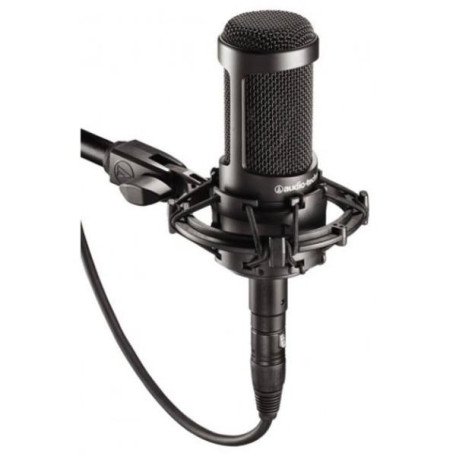 Микрофон студийный Audio-Technica AT2035