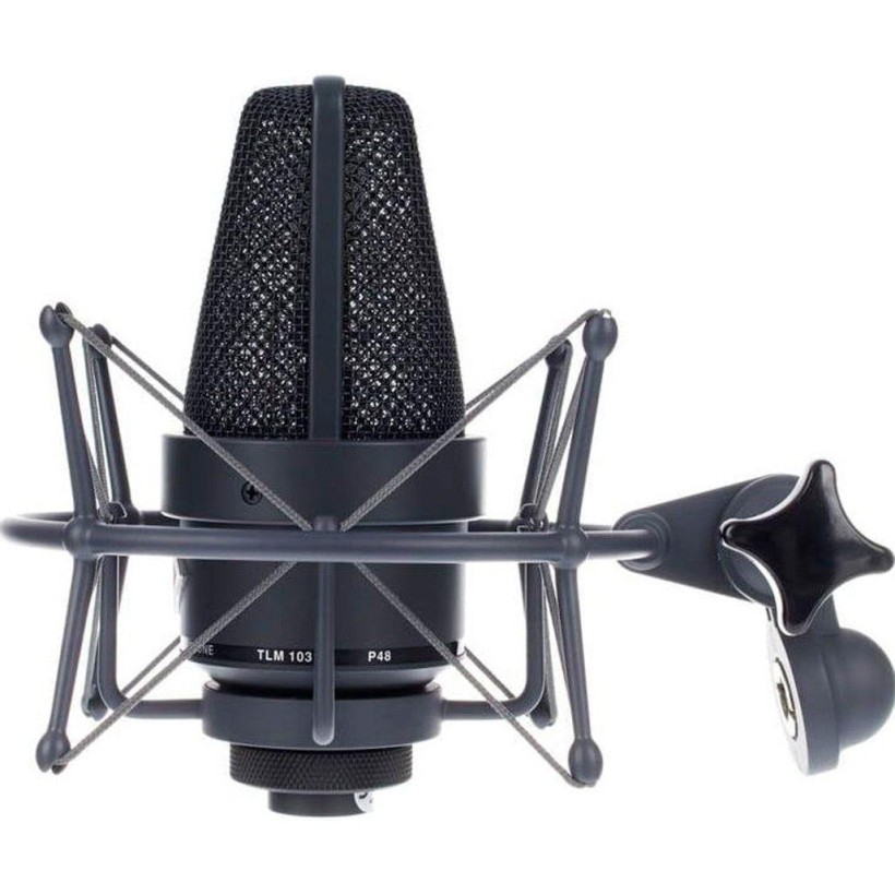 Микрофон студийный NEUMANN TLM 103 Studio Set MT  Фото №1