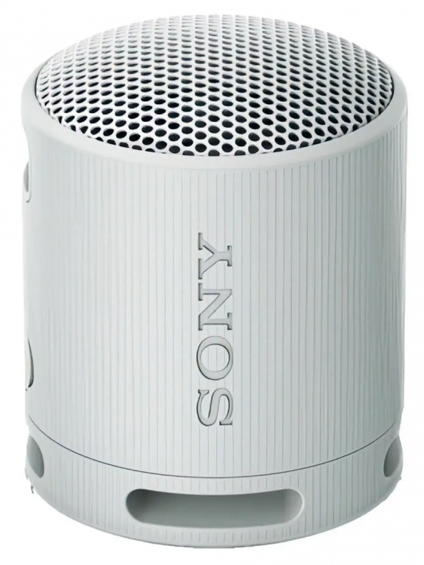 Портативная колонка Sony SRS-XB100 Grey (SRSXB100H.CE7)  Фото №3