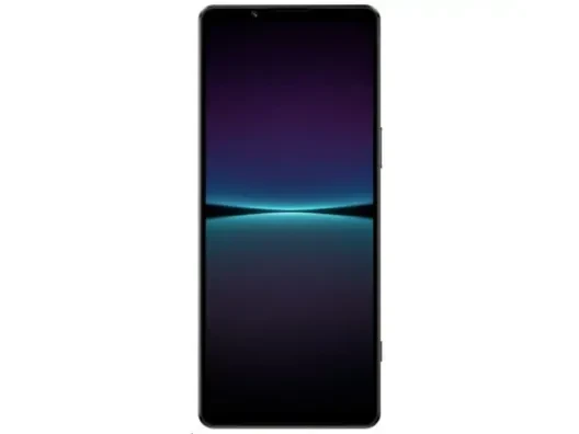 Смартфон Sony Xperia 1 IV 12/512GB Black  Фото №0