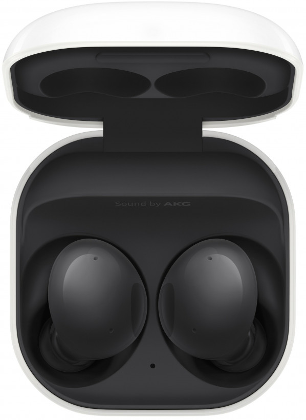 Наушники TWS Samsung Galaxy Buds2 Graphite (SM-R177NZKA)  Фото №4